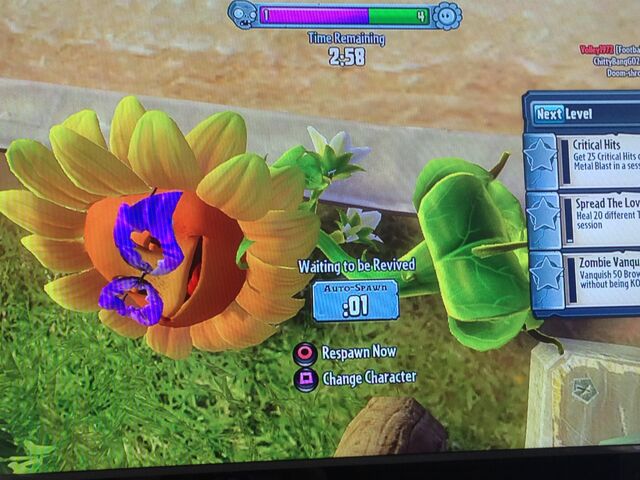 File:Dead sunflower (another angle).jpeg