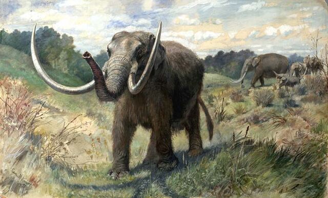 File:Knight Mastodon.jpg
