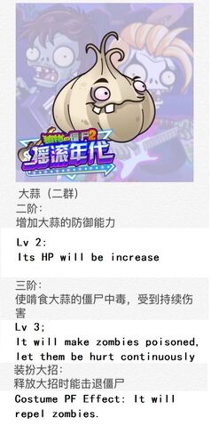 File:Garlic Chinese.jpg