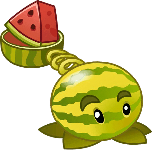 File:Little watermelon close up.png