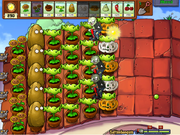 250