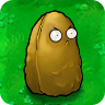 Tall-nut
