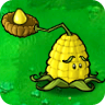 Kernel-pult2