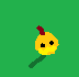 Halloween poppy