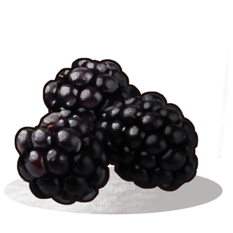 File:Blackberries icon.png