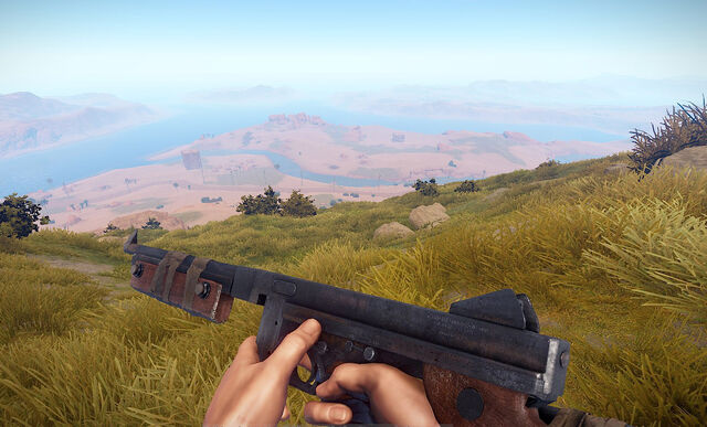 File:Thompson in game.jpg