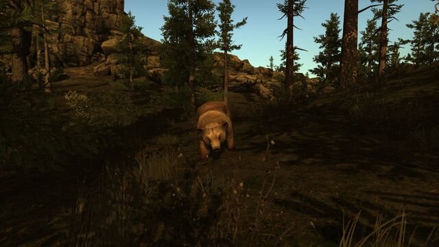 File:Rust bear.jpg