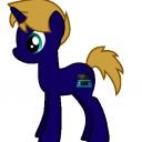 OCPony