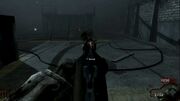 Double-Barrelled Shotgun ADS