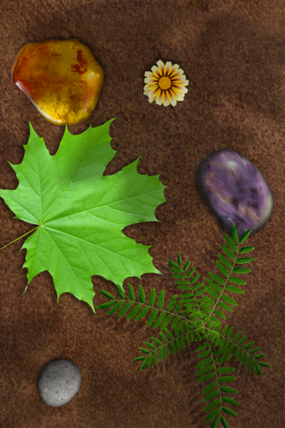 File:Scenery 6.png