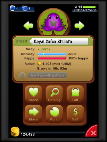 File:Royal Cafea Stellata.png