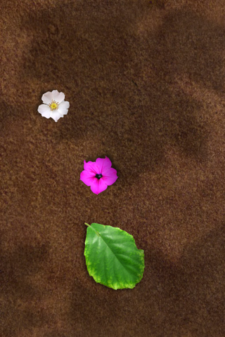 File:Scenery 4.png