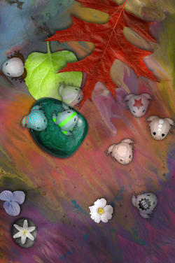 Glassfrogs