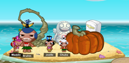 Pumpkinlarge
