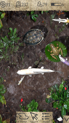 File:Pocket-Pond-2-Progress-2-550x977.png