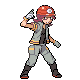 Roco DP