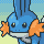 Cara de Mudkip