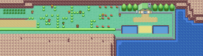 Kanto Route 25 Map