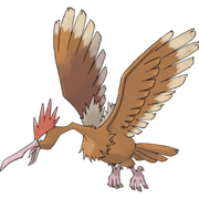 Pokemon Fearow