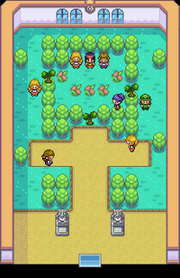 Celadon Gym Map