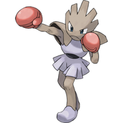 250px-107Hitmonchan