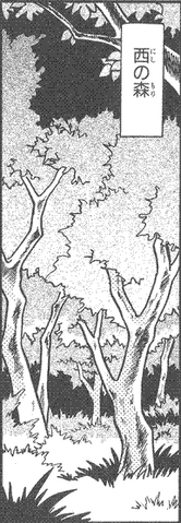 File:Western Forest Ch1.png