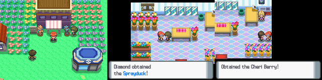 File:Diamond-Pearl Floaroma Town 3.png