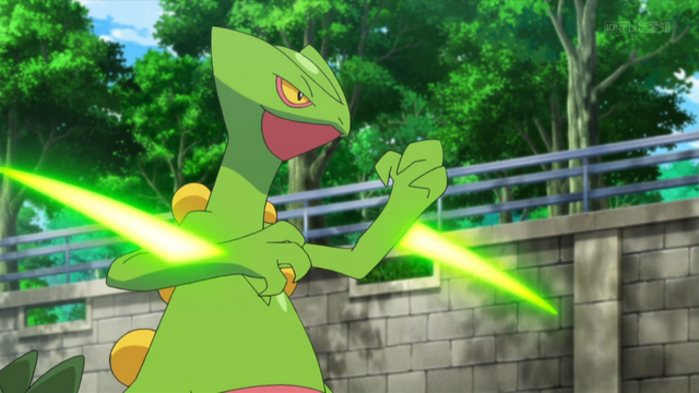 File:Sawyer Sceptile Leaf Blade.png