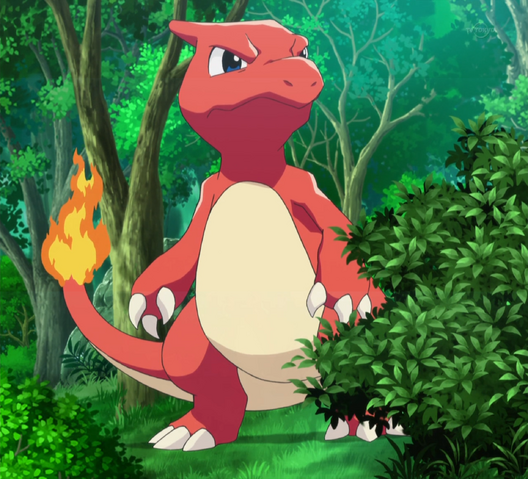 File:Trevor Charmeleon.png