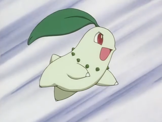 File:Ash Chikorita.png