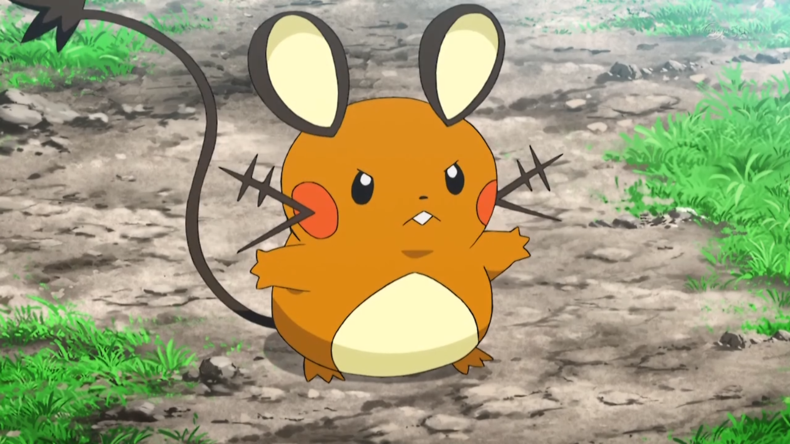 Clemonts Dedenne Pokémon Wiki Fandom Powered By Wikia 