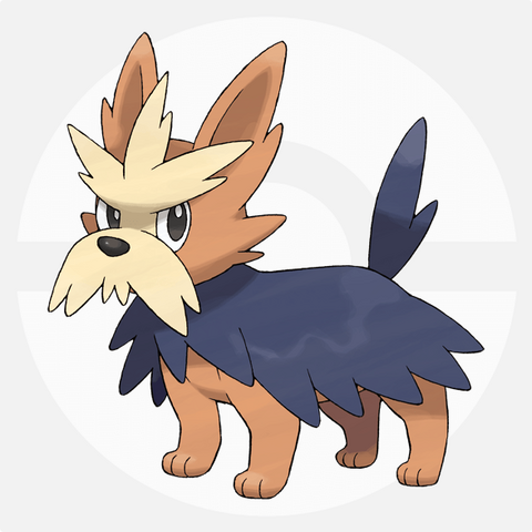 ファイル:507.png