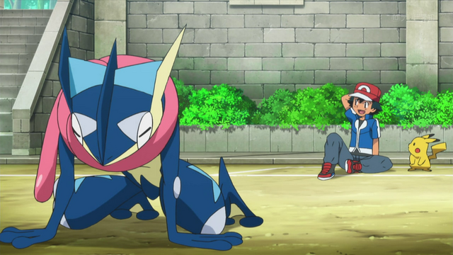 File:XY110 6.png