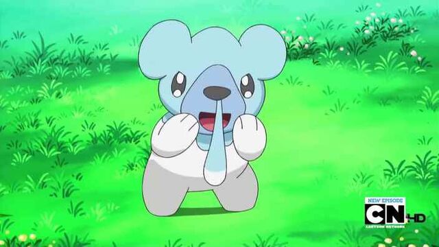 File:Chris' Cubchoo.jpg