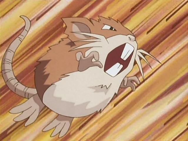 File:Cassidy Raticate.png