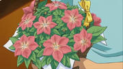 그라시데아꽃 부케.png