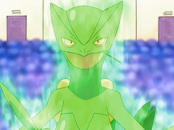 File:Ash Sceptile Overgrow.png