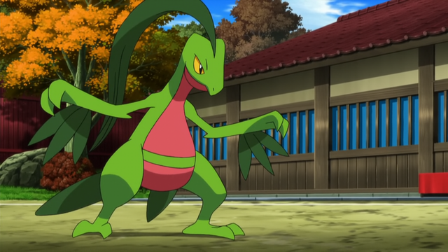 File:Sawyer Grovyle.png