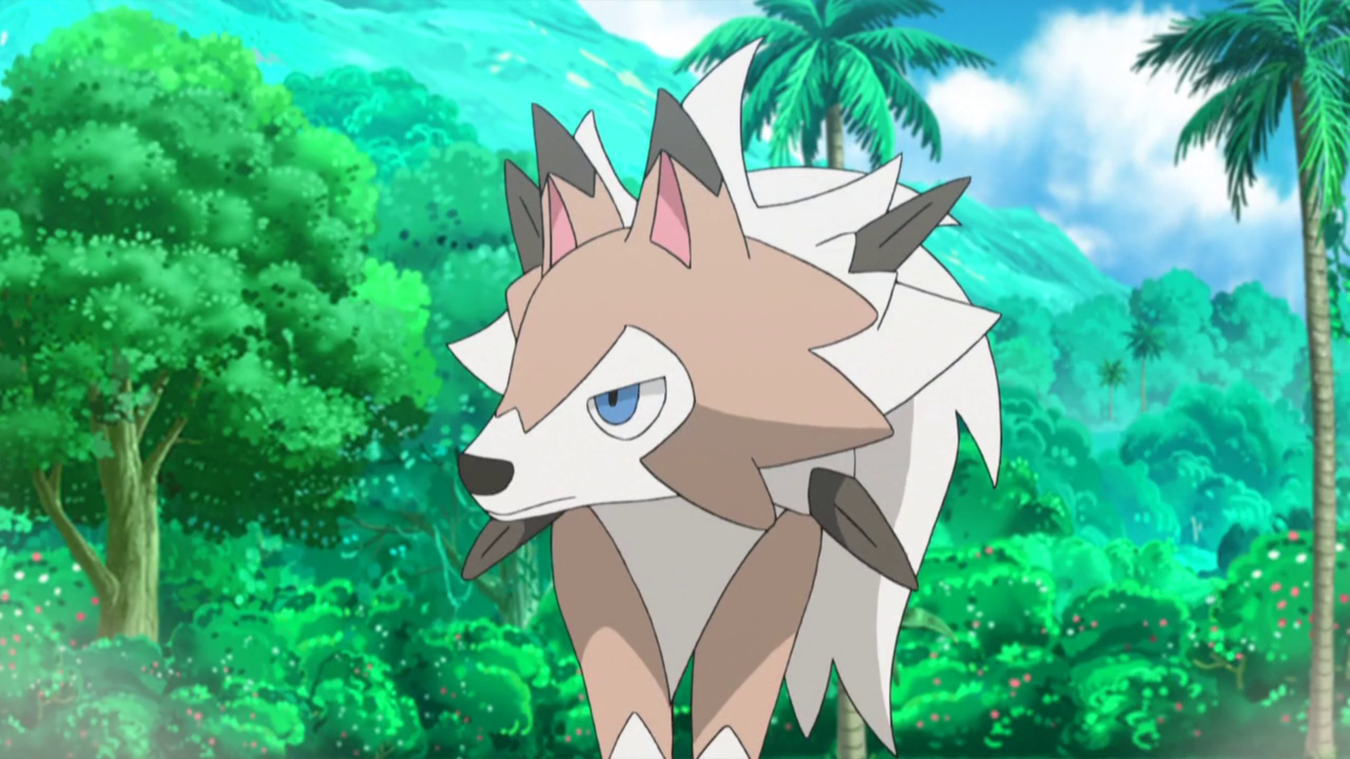 Olivia's Lycanroc (anime) | Pokémon Wiki | FANDOM powered by Wikia