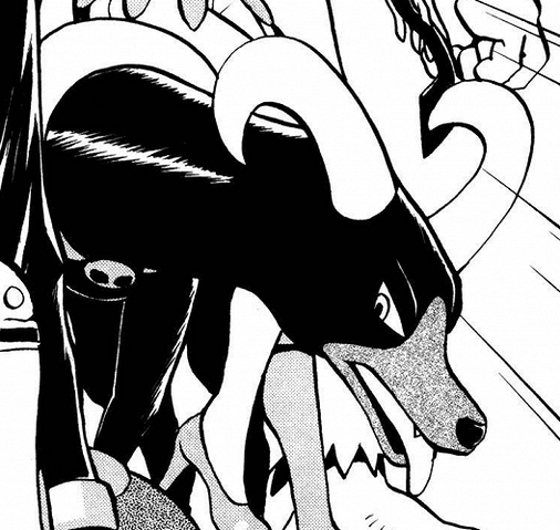 File:Karen Houndoom.png