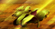 부활초.png