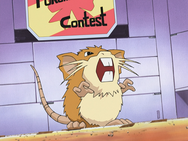 File:Mollie Raticate.png