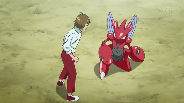File:Trainer XY119.png
