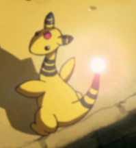 Výsledek obrázku pro ampharos flash
