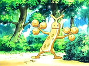 EP450 Sudowoodo brillant