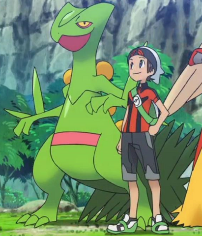 File:Brendan Sceptile.png