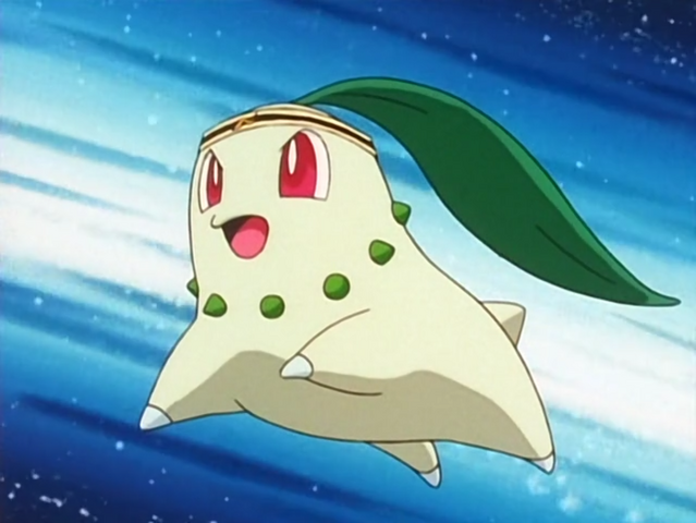 File:Casey Chikorita.png