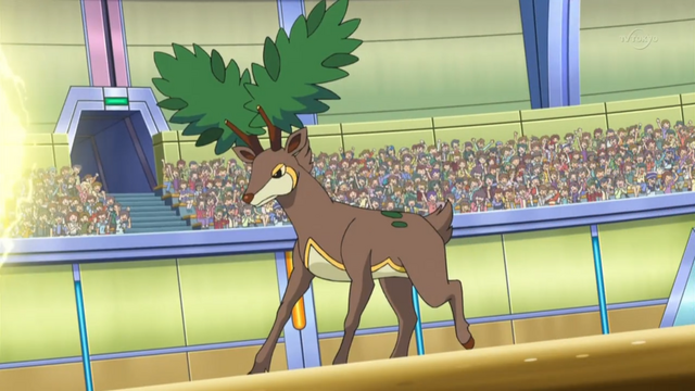 File:Cassie Sawsbuck.png