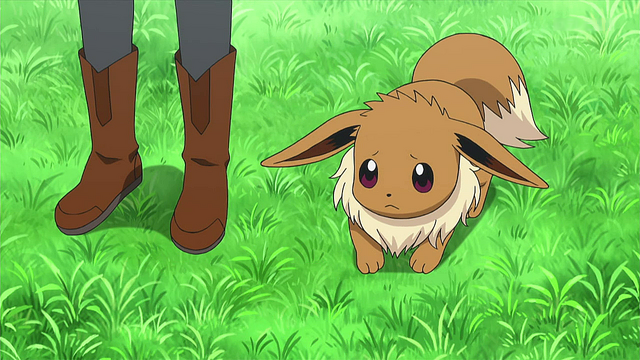 File:XY105 2.png