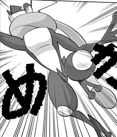 File:Y's Greninja.jpg